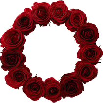 FEUILLE DE ROSE : TOUT LE MONDE JUGE, BEAUCOUP AIMENT