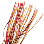 Fouet en cuir végétalien - art du plaisir - Vignette | Adopt1toy