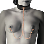Collier Coquette Desire avec pinces sensuelles - Vignette | Adopt1toy