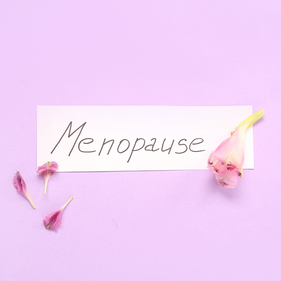 LA MENOPAUSE : CE N'EST PAS LA FIN DE LA VIE SEXUELLE