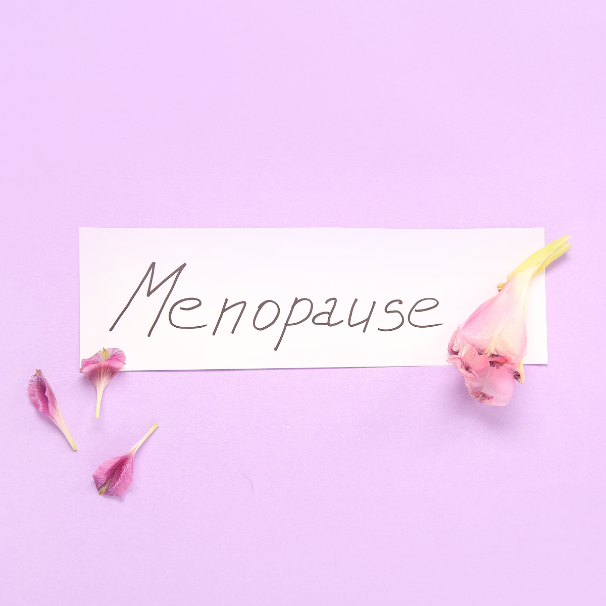 LA MENOPAUSE : Ce n'est pas la fin de la vie sexuelle