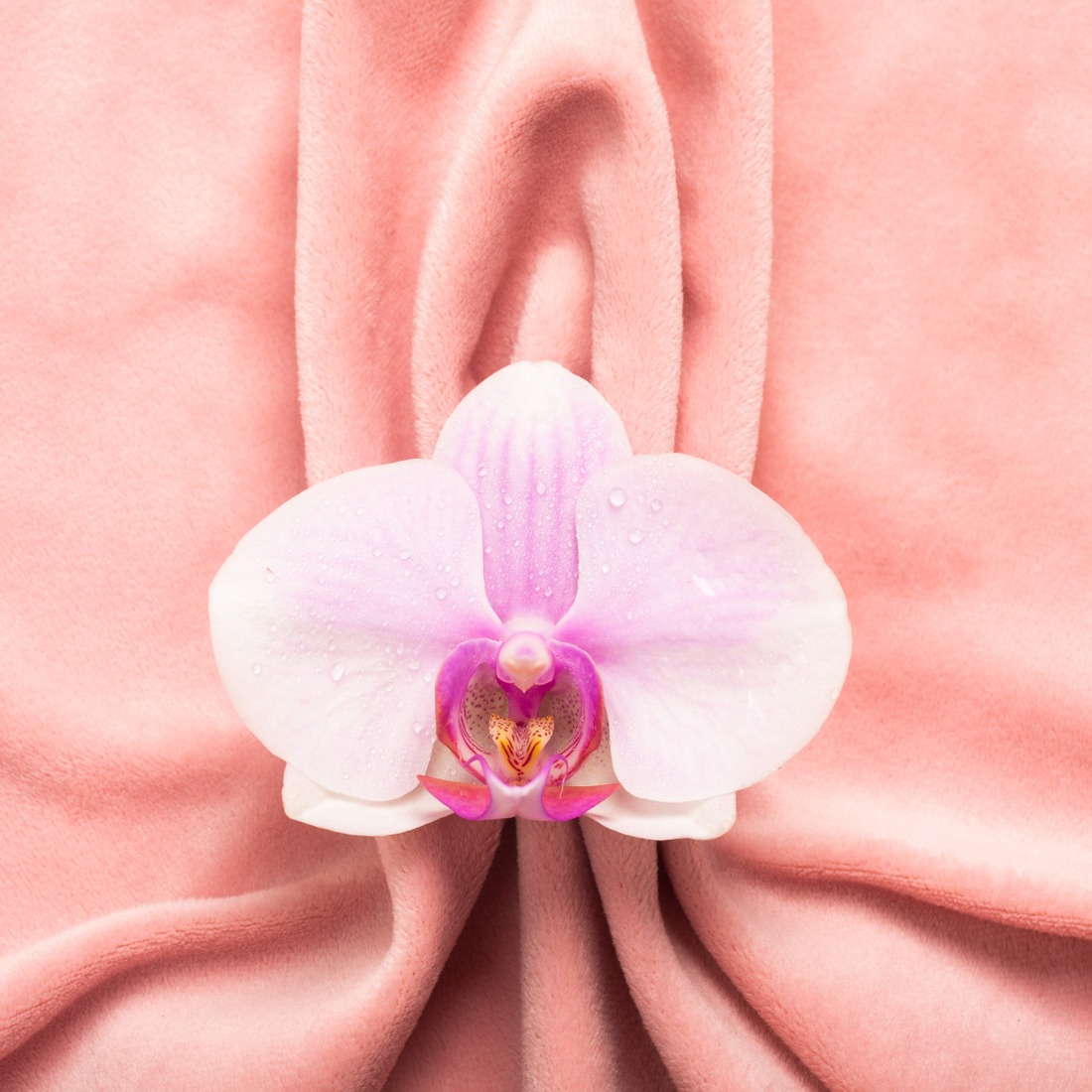 LE CLITORIS  : ANATOMIE, PLAISIR FEMININ ET IDEES RECUES