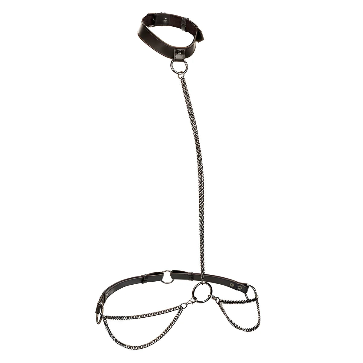 calexotics euphoria collier et laisse chaine