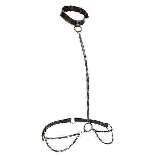 calexotics euphoria collier et laisse chaine