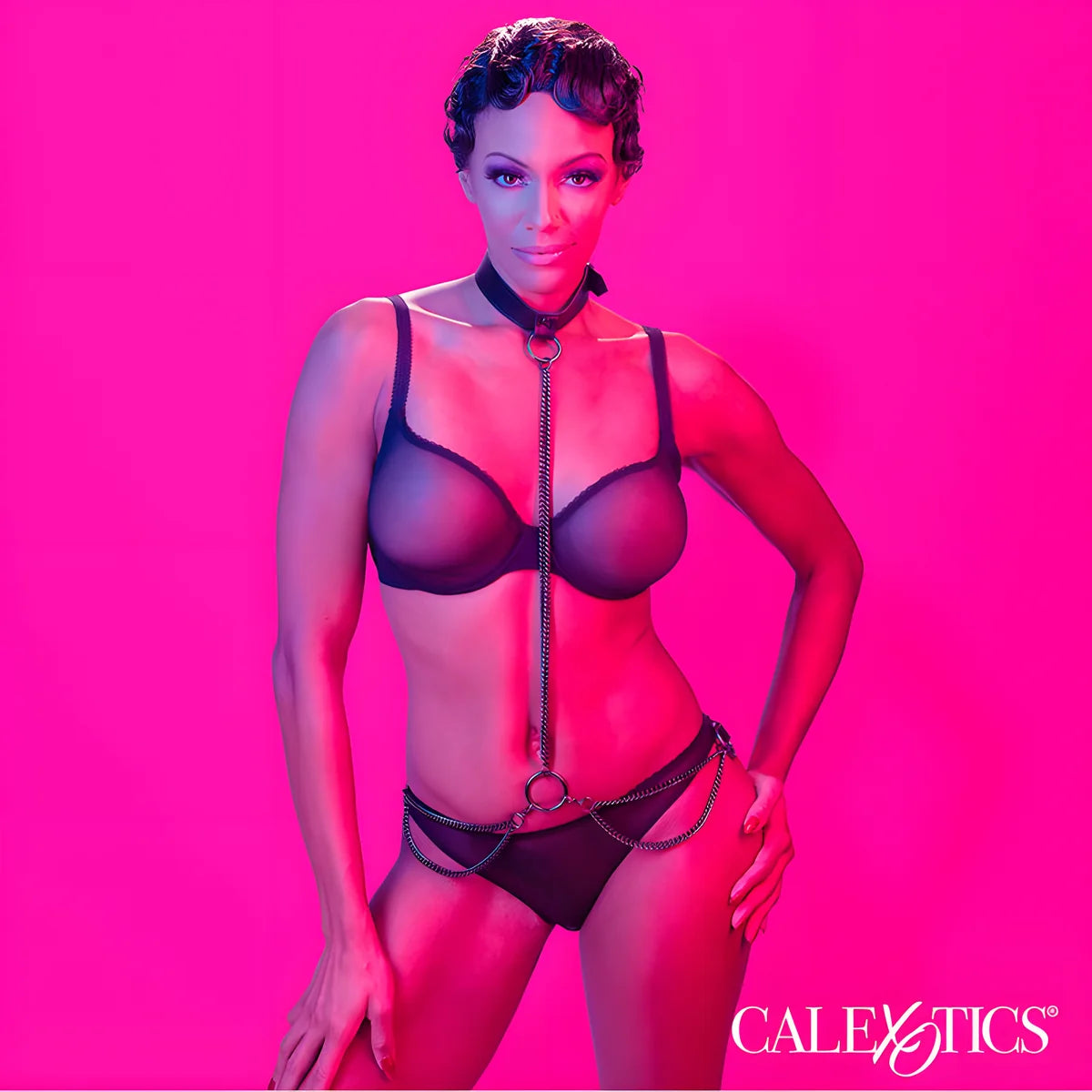 calexotics euphoria collier et laisse chaine