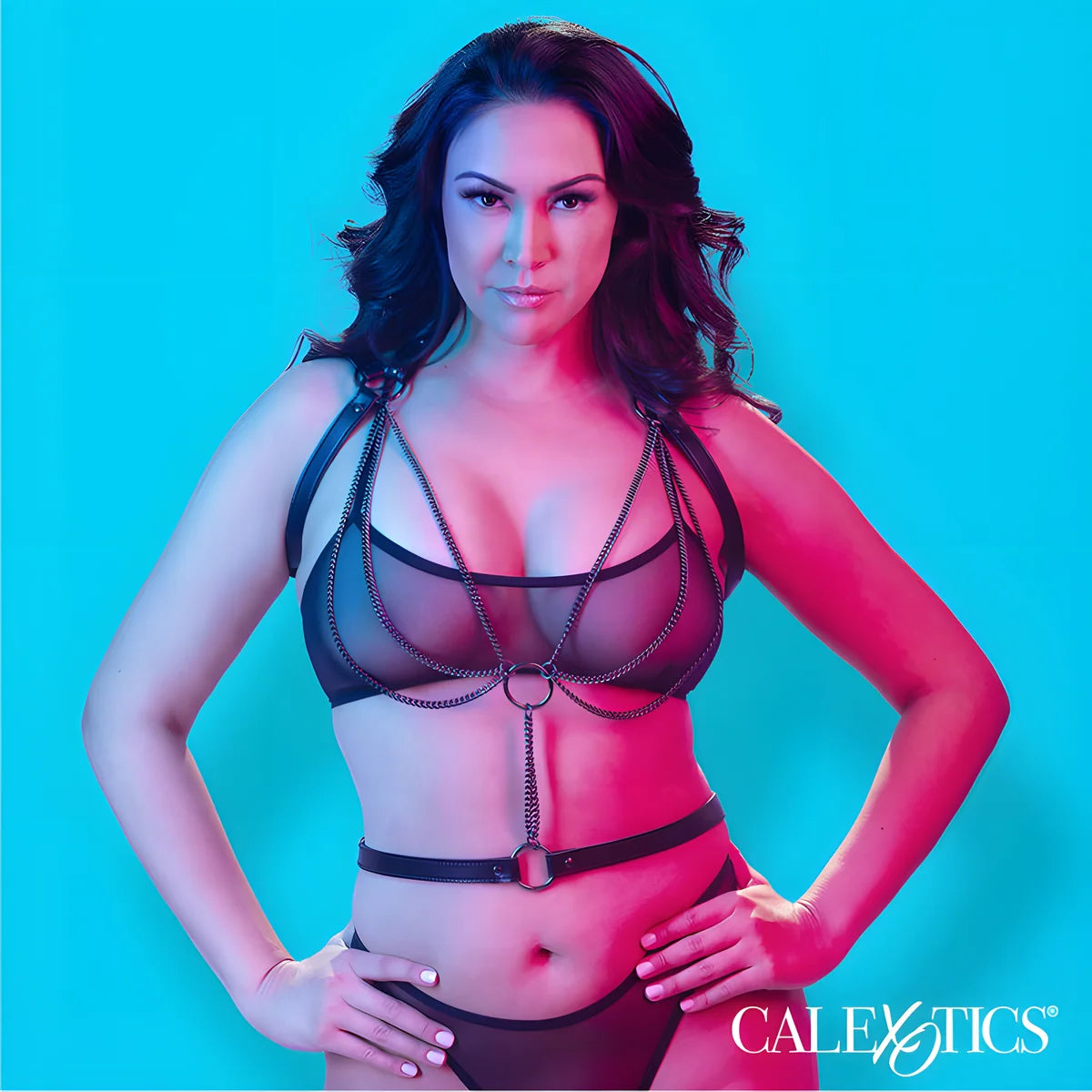 calexotics euphoria harnais licol multichaines premium grande taille