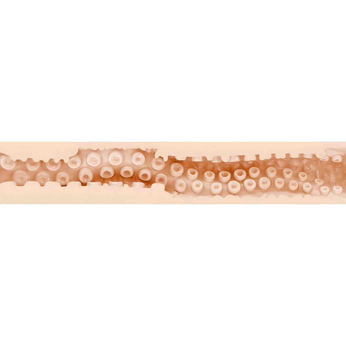 fleshlight fantasy sasha nakamoto vagin