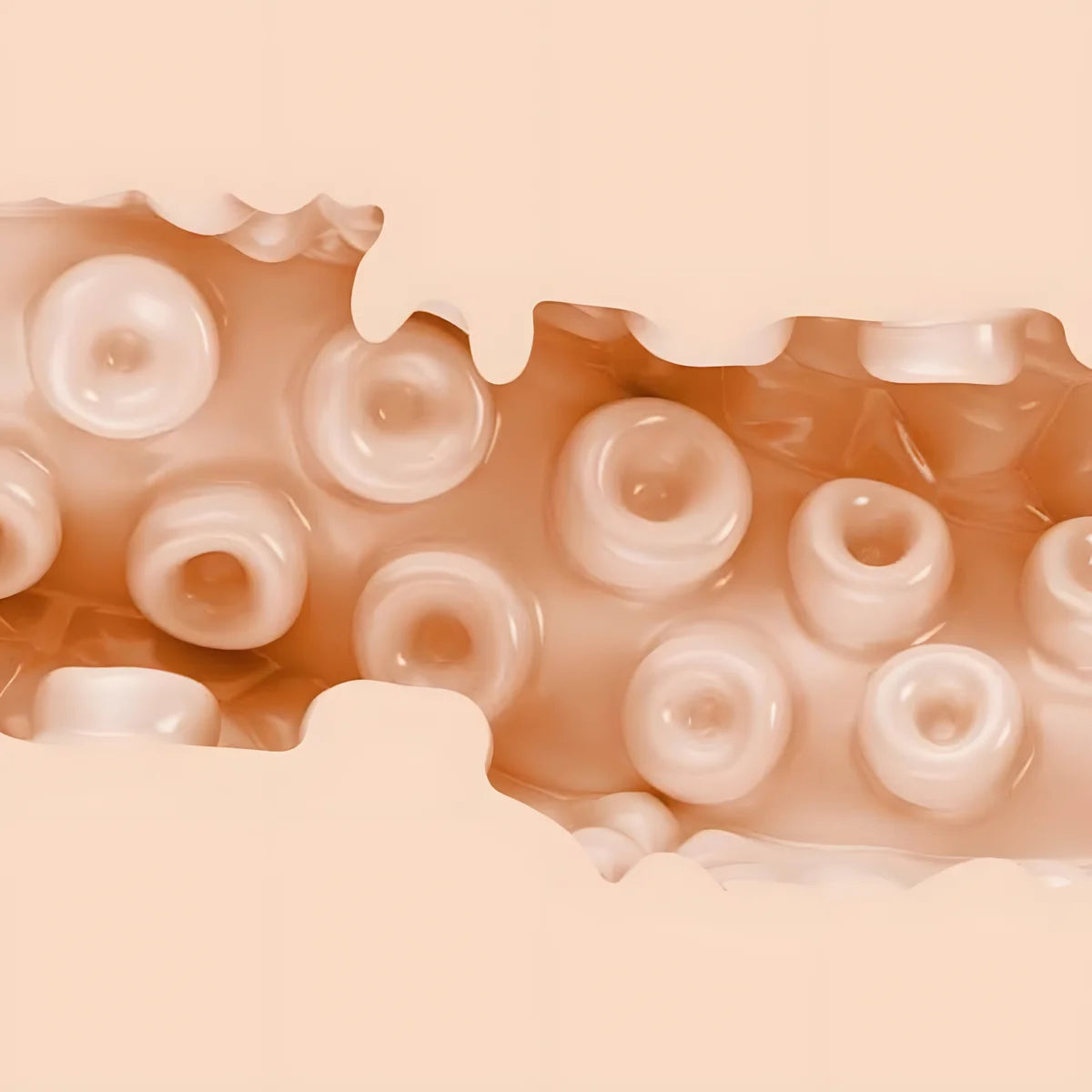 fleshlight fantasy sasha nakamoto vagin