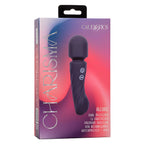 calexotics charisma allure masseur double moteurs 12 fonctions 17 25 cm x 4 5 cm violet