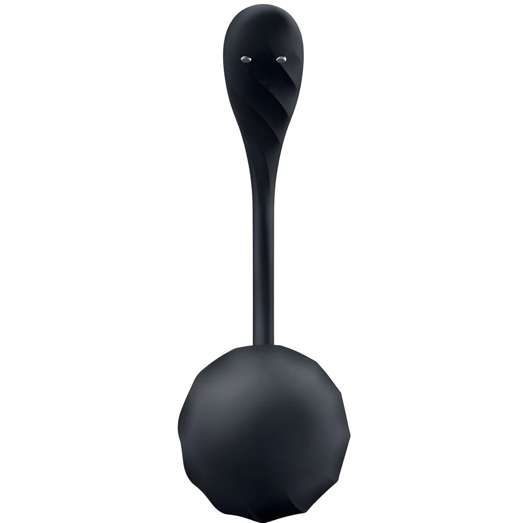 satisfyer ribbed petal telecommande de stimulateur de point g noir application gratuite