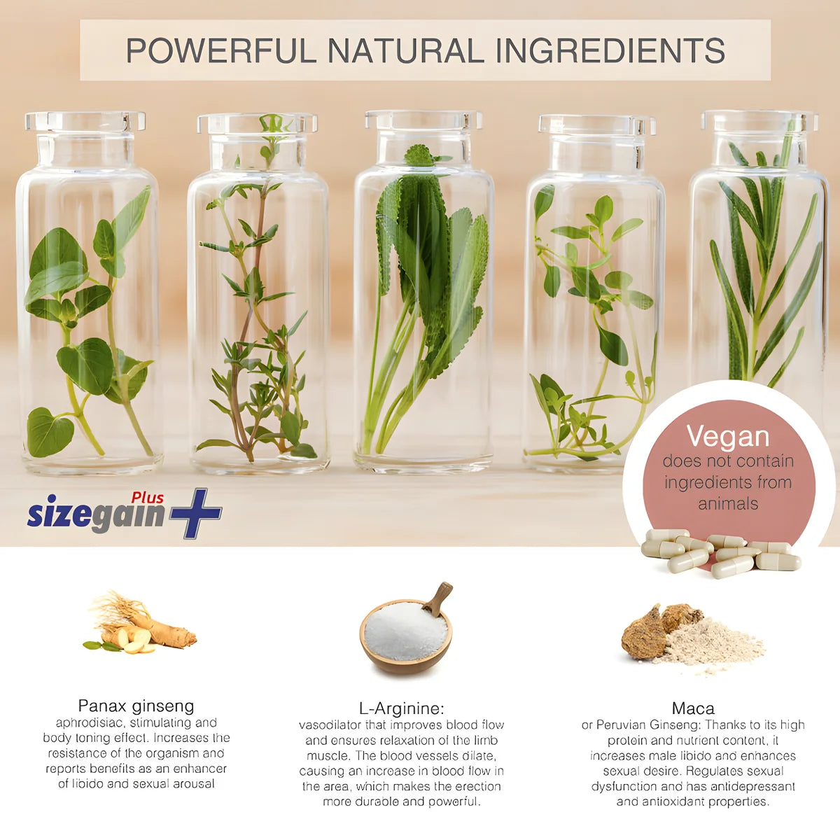 500 cosmetics pilules sizegain plus pour agrandir le penis