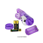 baile du lapin delite persane