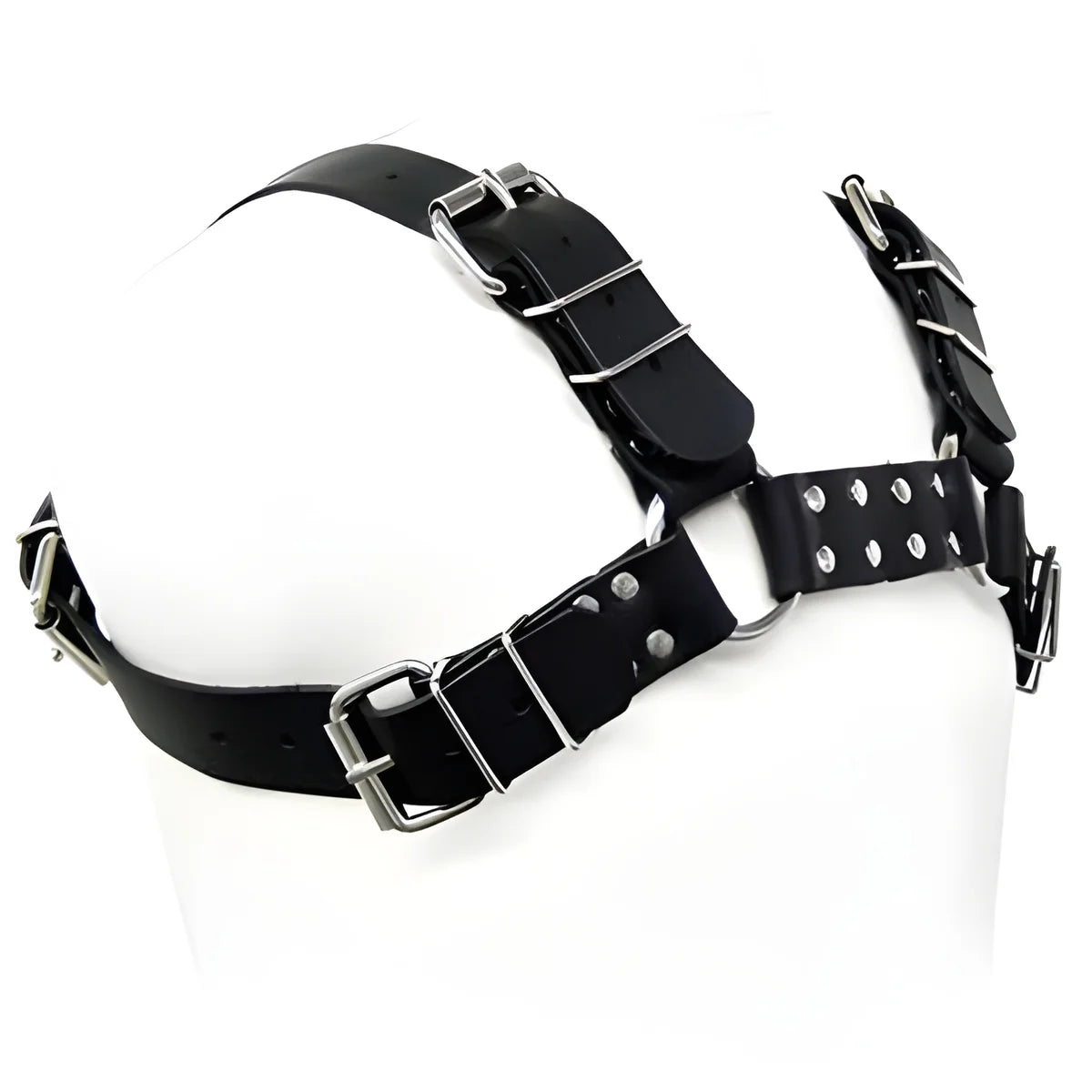 leather body harnais bull chien noir