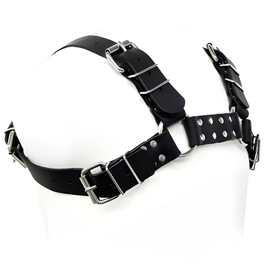 leather body harnais bull chien noir