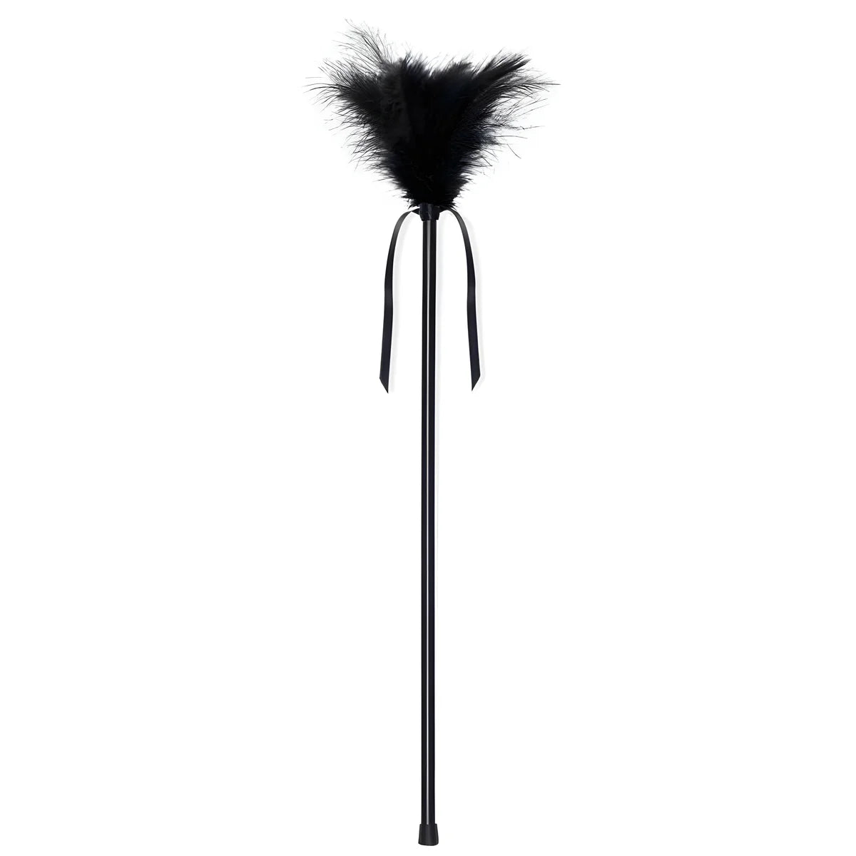secretplay plumes noires 40 cm