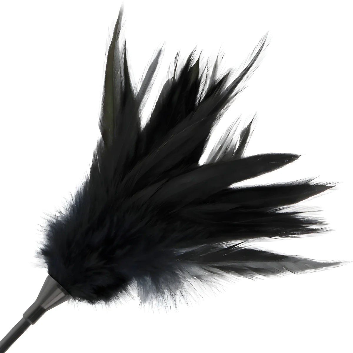 darkness fouet a plumes noires