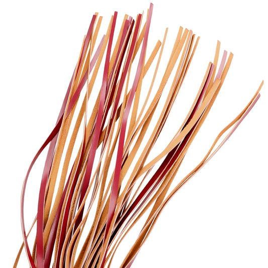 fetish submissive dark room fouet en cuir vegetalien