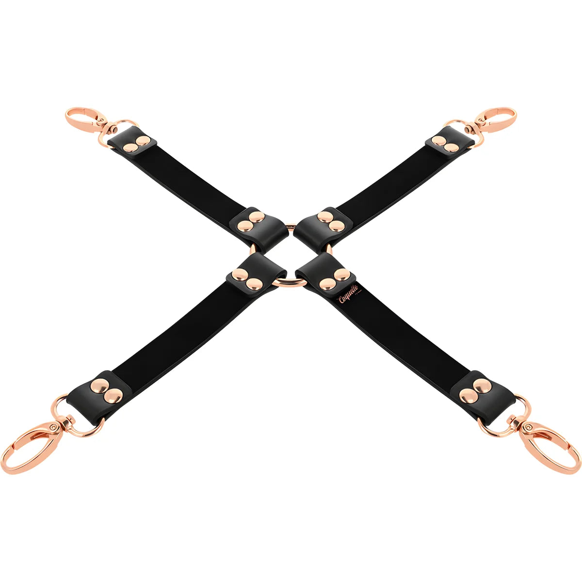 coquette chic desire cravate de porc fantaisie en cuir vegetal