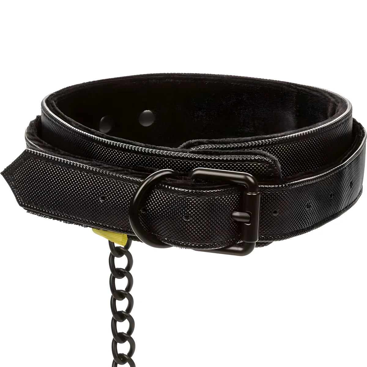 calexotics collier et laisse sans limites