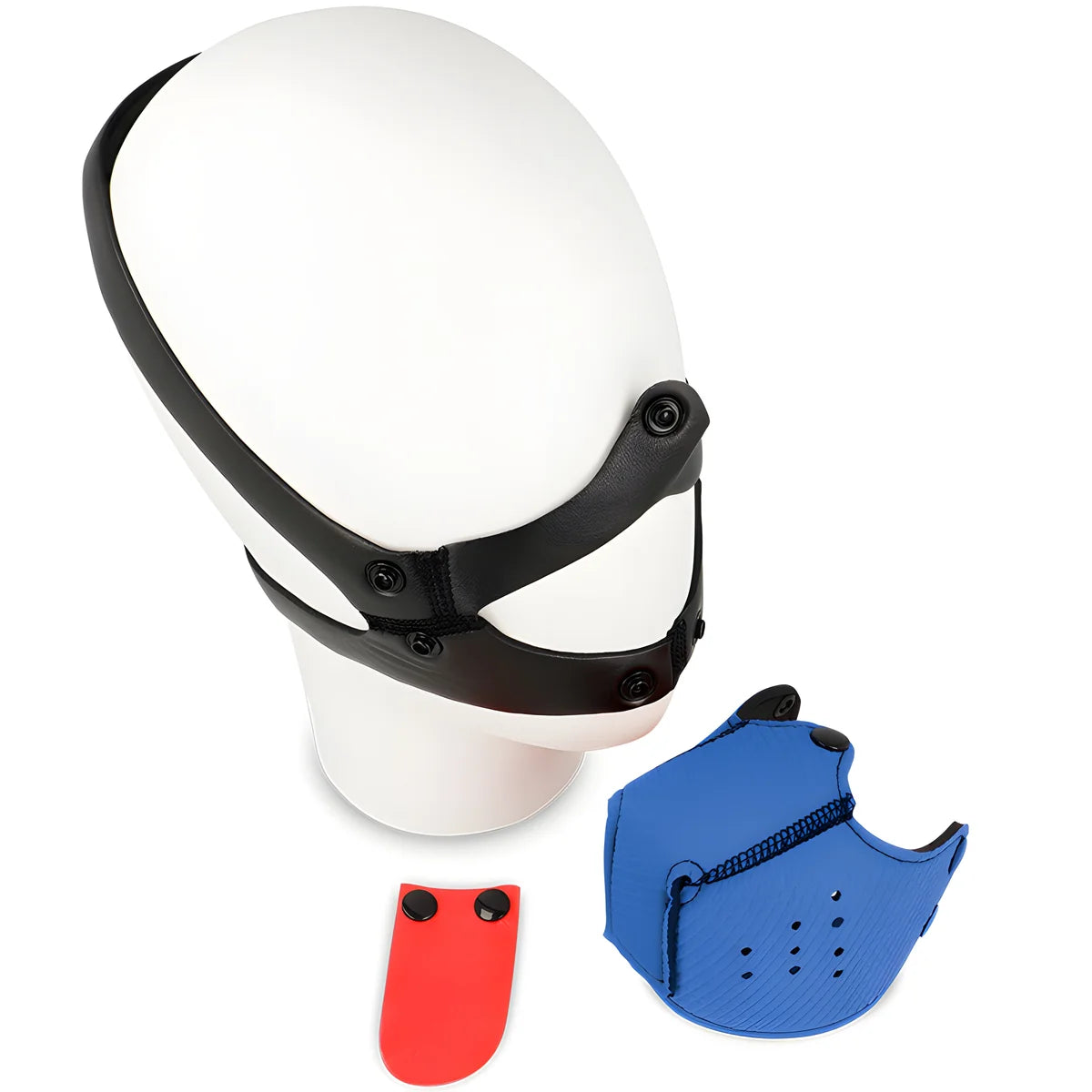 musele pour chien ohmama fetish bleu