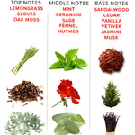 Parfum Eye of Love aux phéromones pour homme EOL - Vignette | Adopt1toy