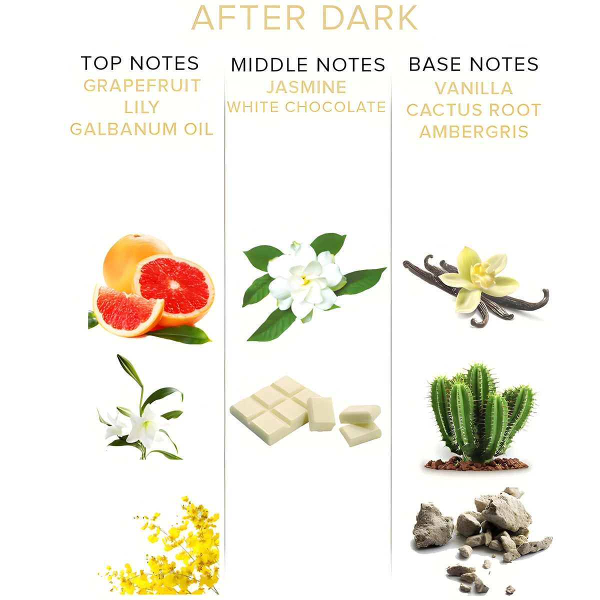 eye of love parfum aux pheromones eol 10 ml after dark