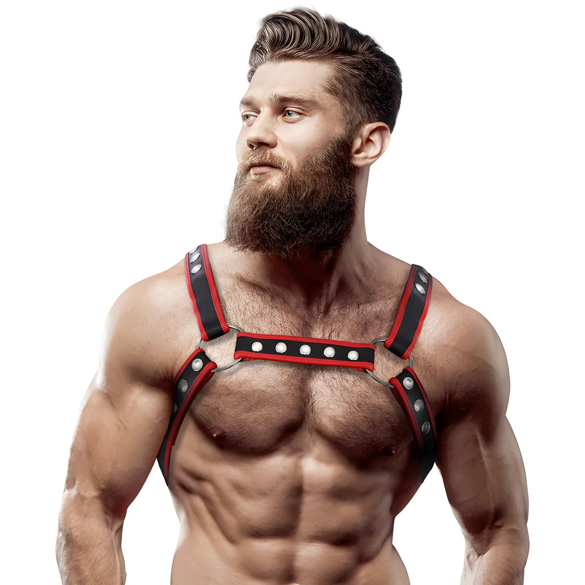 fetish submissive attitude harnais poitrine bulldog en cuir ecologique pour hommes noir rouge