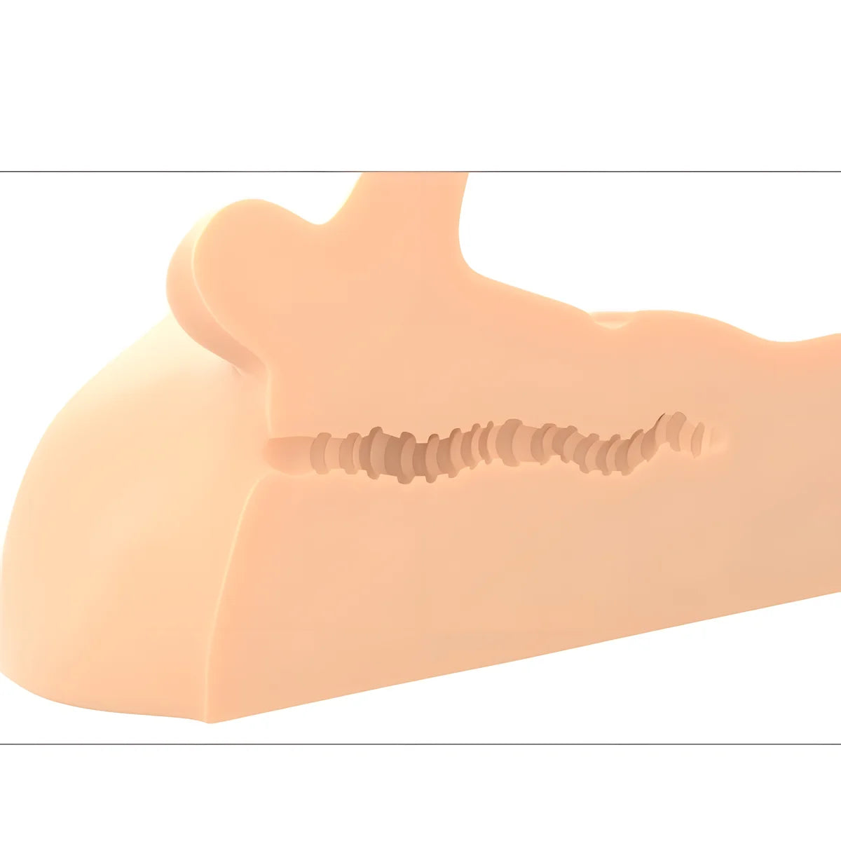 pdx plus masturbateur de penis et danus perfect ride