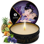shunga fruits exotiques secrets geisha