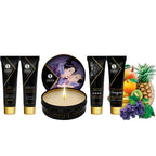 shunga fruits exotiques secrets geisha