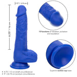 CALEXOTICS - ADMIRAL VIBRATEUR GODE RÉALISTE SAILOR BLEU - Vignette | Adopt1toy
