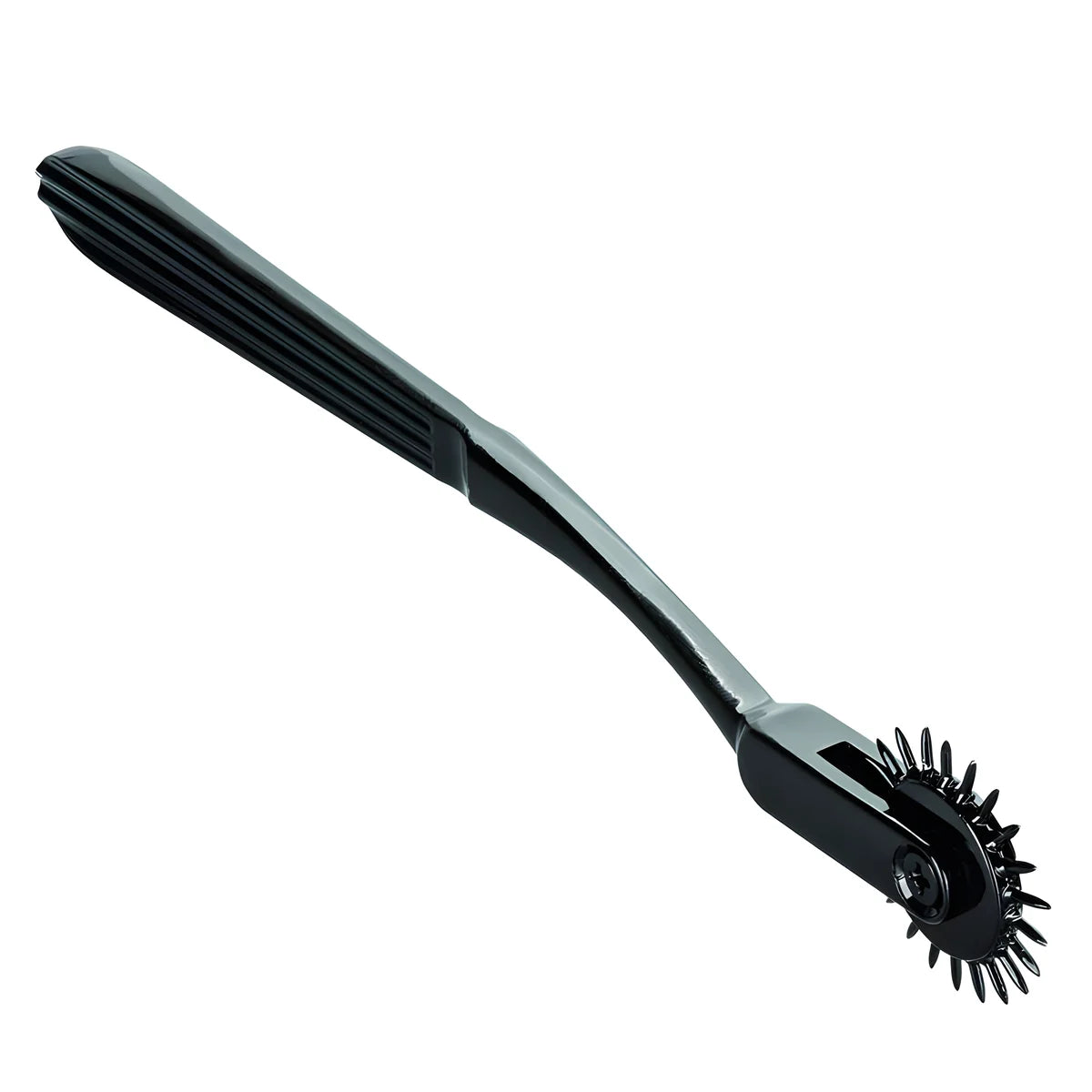 calexotics boundless roue de plaisance