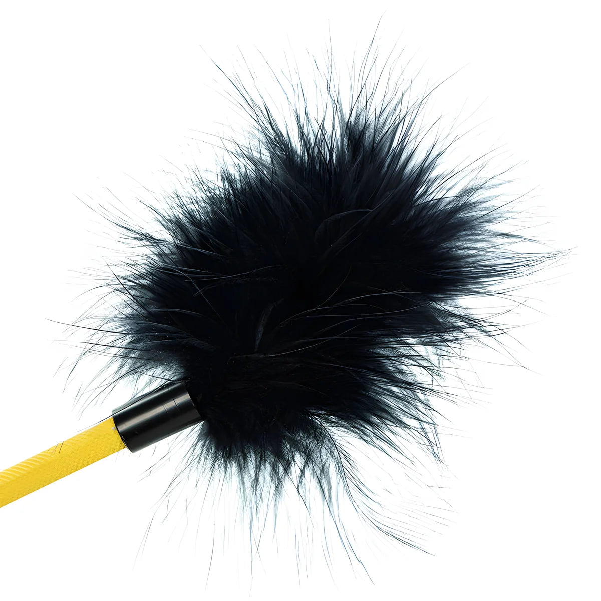 calexotics boundless recolte de plumes