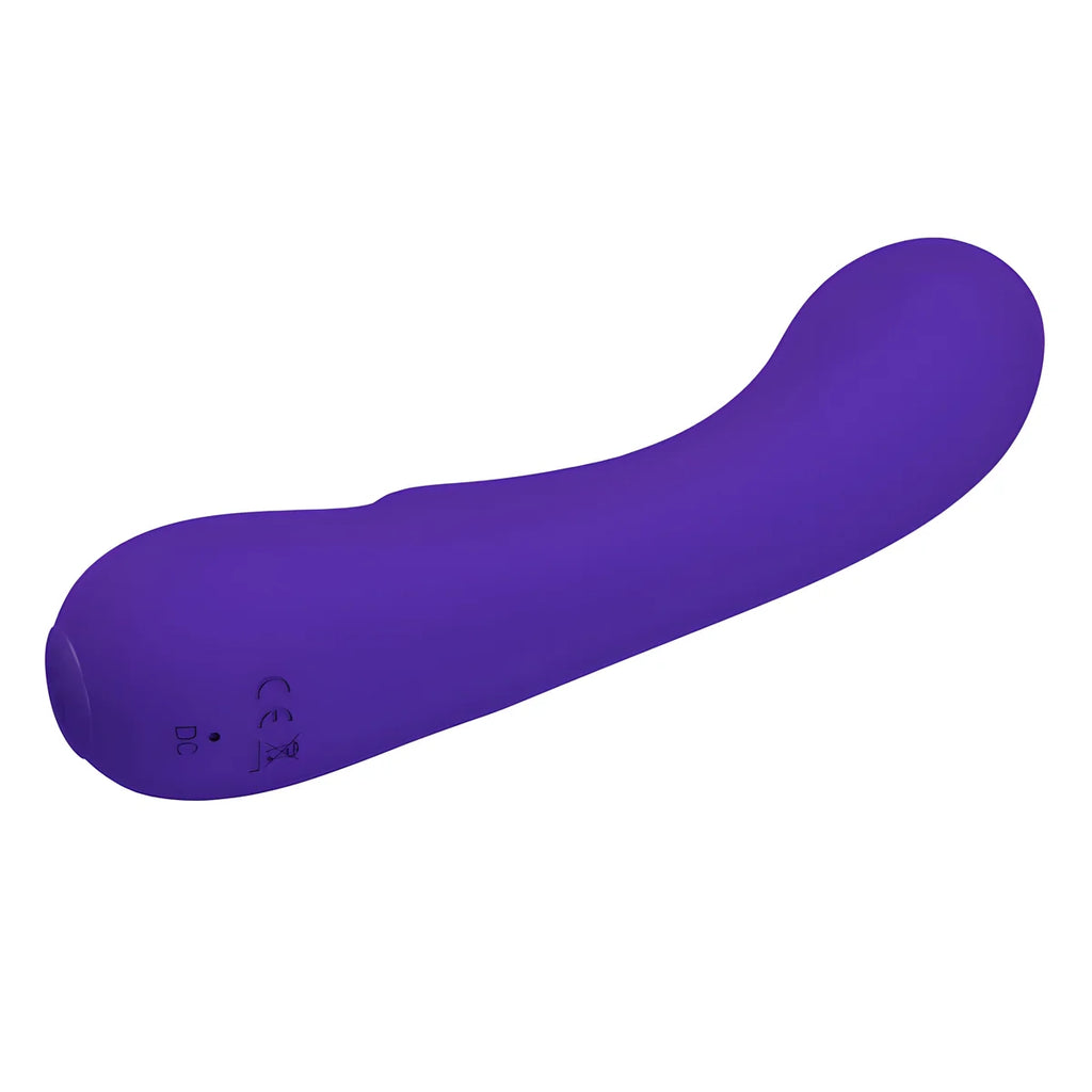 pretty love vibrateur rechargeable prescott violet