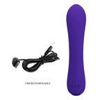 pretty love vibrateur rechargeable prescott violet