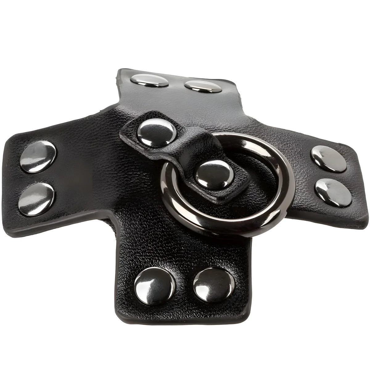 calexotics euphoria joint torique noir