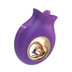 Stimulateur clitoridien vibration et oscillation