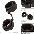 calexotics poignets bounless