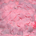 100 pétales roses pour mise en scène romantique — vue principale