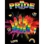 pride dildo drapeau lgbt 15 cm