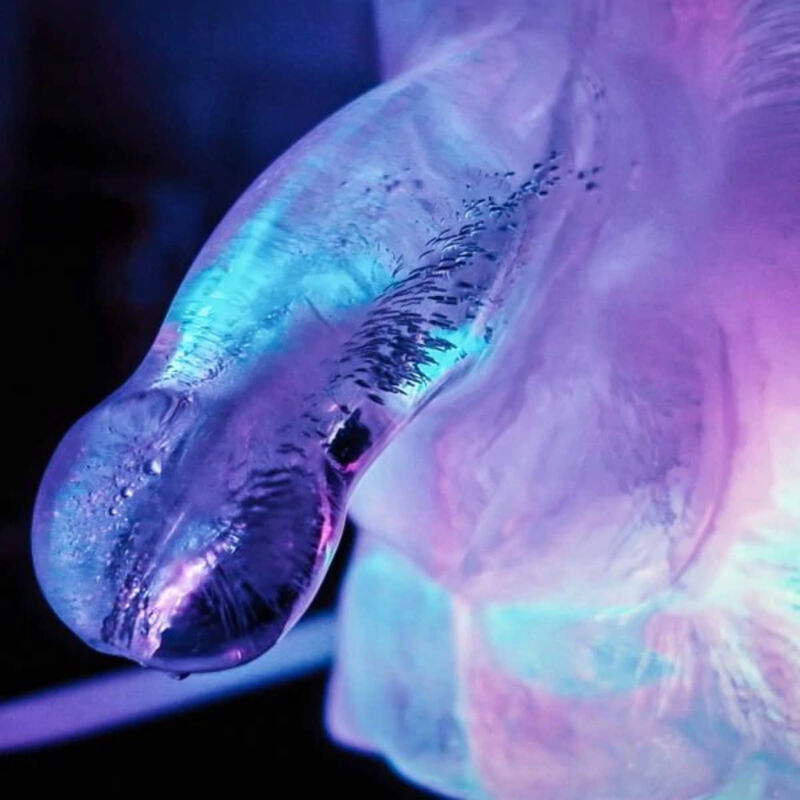 Glacon geant en forme de penis transparent illumine de bleu et violet, gros plan de la sculpture de glace realiste de 35,6 cm issue du moule de fete pour EVJF