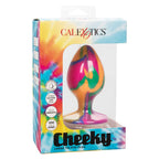 Boîte Cheeky Large Tie-Dye Plug CalExotics, plug anal en silicone multicolore en vitrine, pictogrammes base ventouse robuste, silky smooth et one of a kind.