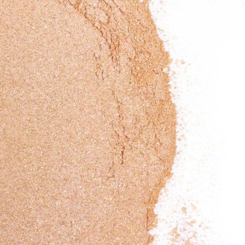 Poudre comestible chocolat cannelle avec plume dorée — vue de profil