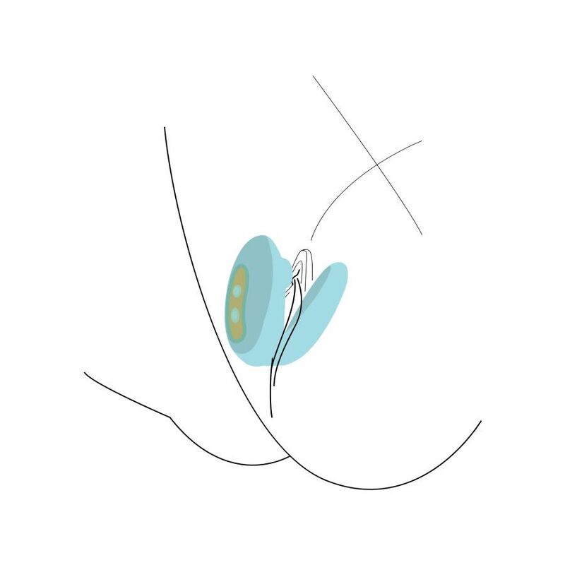 Schema d'utilisation stylise du stimulateur couple menthe positionne, illustration au trait epuree sans corps ni anatomie realiste du sextoy en U.