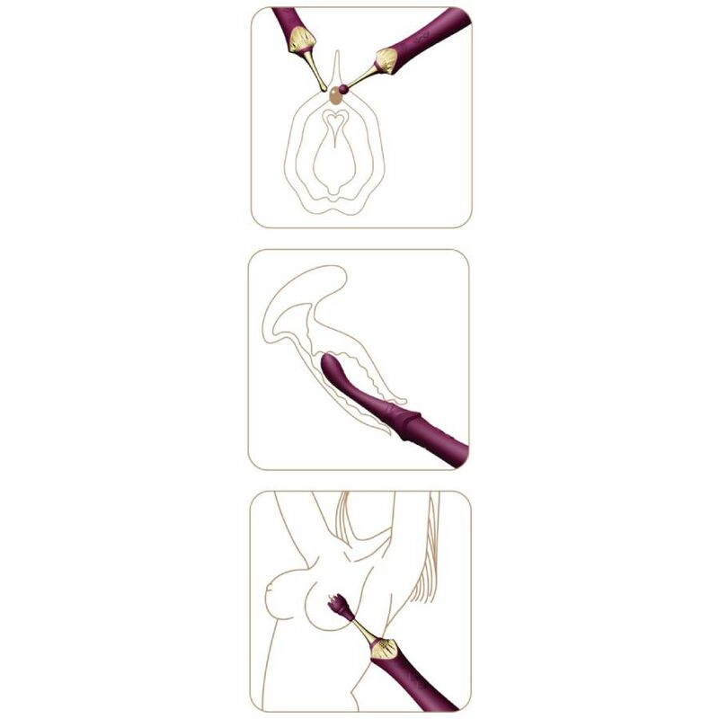 Trois pictogrammes d'usage stylisés du Bess 2 bordeaux : application sur silhouette florale, vue de côté et contact sur buste, dessins schématiques au trait.