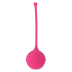 Kisha fit one silicone kegel