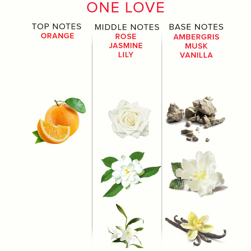 Pyramide olfactive One Love illustree (orange, rose, jasmin, lys, ambre gris, musc, vanille), notes du parfum aux pheromones pour femme Eye Of Love.