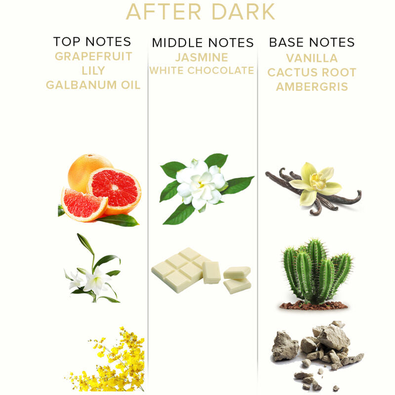 Pyramide olfactive After Dark illustree (pamplemousse, lys, jasmin, chocolat blanc, vanille, cactus, ambre gris), notes du roll-on aux pheromones femme Eye Of Love.