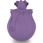 intense violet cl toris stimulateur 10 vibrations lilas