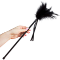 secretplay plumes noires 40 cm